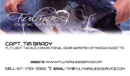 Business Card Design by Seraphinyxx