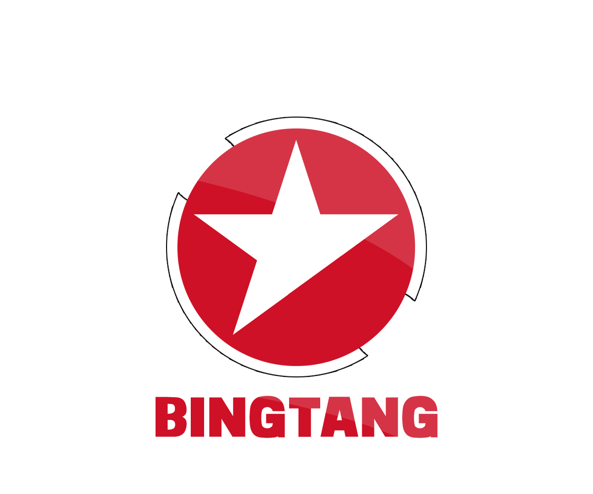 Logo Design by Dx2Dzn for Bintang Solusi Teknologi | Design #3503094