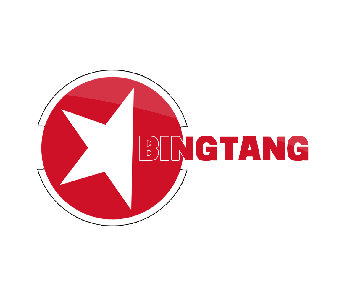 Logo Design by Dx2Dzn for Bintang Solusi Teknologi | Design #3503145