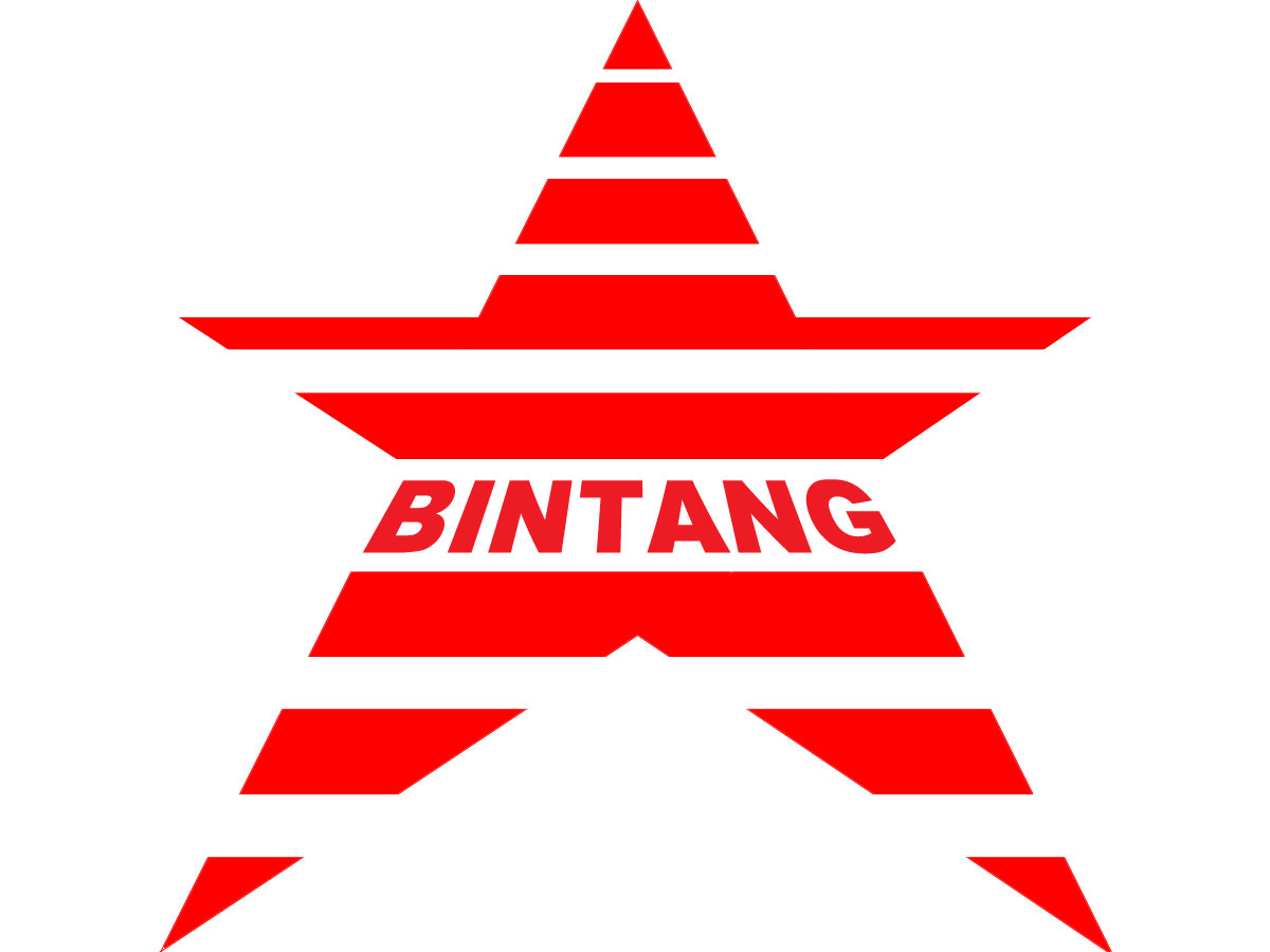 Logo Design by ronaldmeicherii for Bintang Solusi Teknologi | Design #3515081