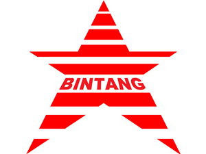 Logo Design by ronaldmeicherii for Bintang Solusi Teknologi | Design: #3515081