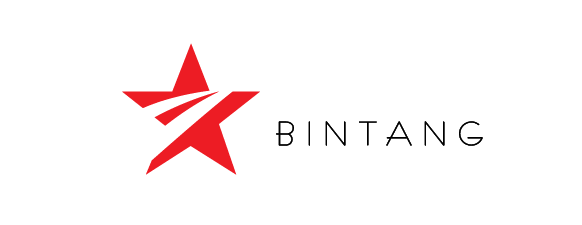 Logo Design by madrebonita for Bintang Solusi Teknologi | Design #3525794