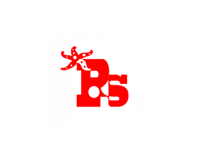 Logo Design by tawfig for Bintang Solusi Teknologi | Design: #3505881