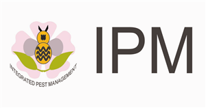 Logo Design by MS Arts