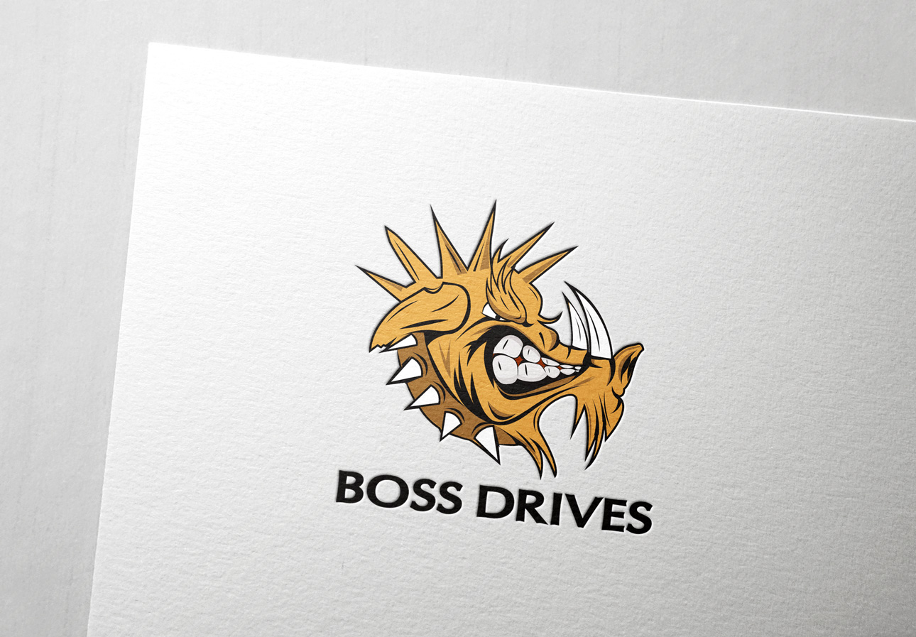 Design de Logo par mario_p pour Backwater Performance Systems | Design #3524916