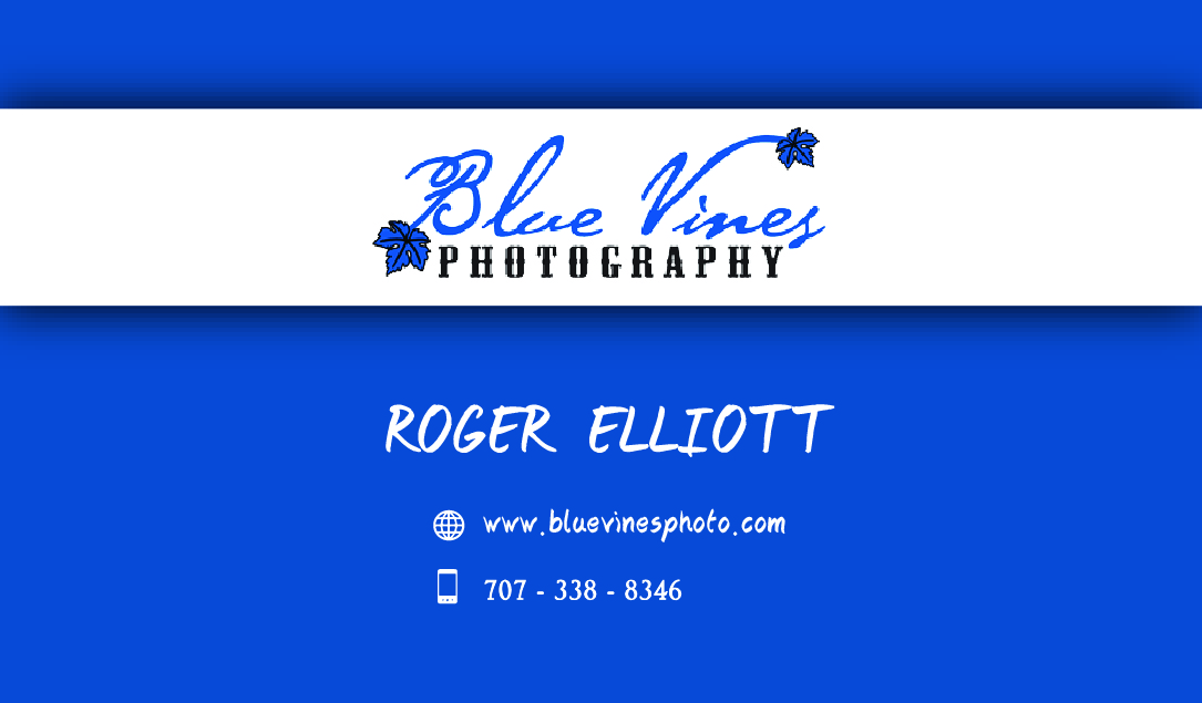 Business Card Design by lsmrcn for this project | Design #3512039