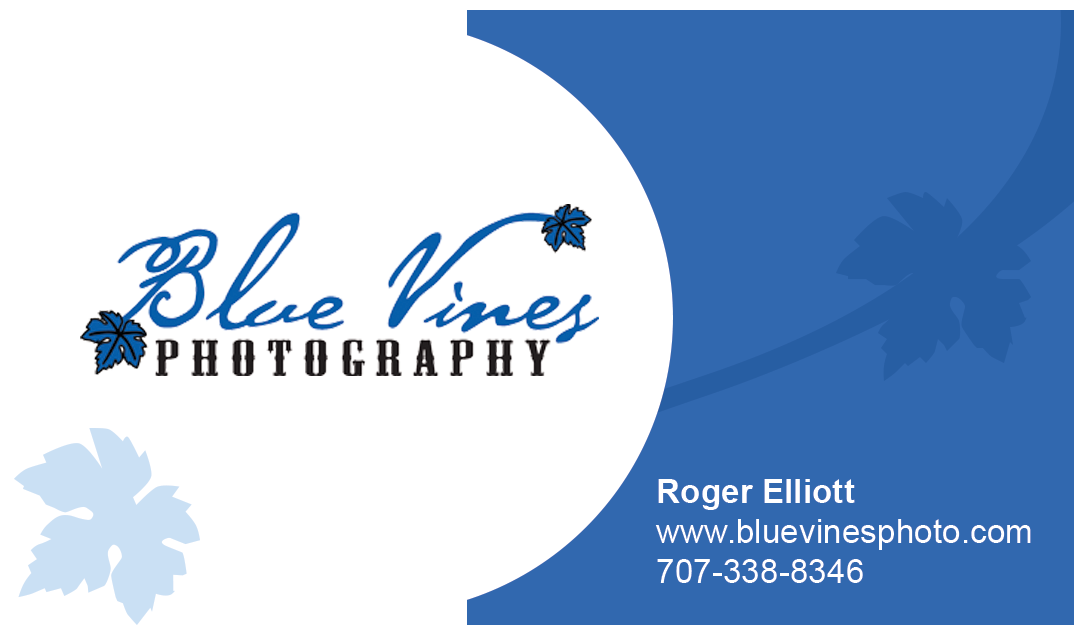 Business Card Design by kennedycanto for this project | Design #3511026