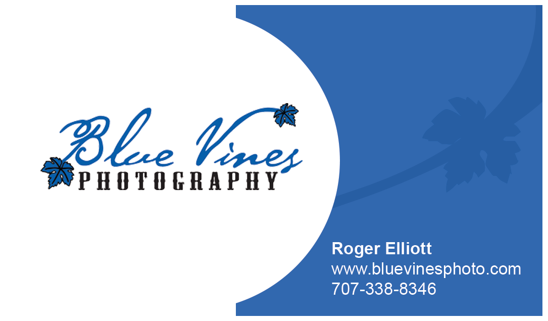 Visitenkarten-Design von kennedycanto für dieses Projekt | Design #3511146