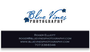 Business Card Design by kennedycanto for this project | Design #3541126