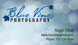 Business Card Design by Sonsie Studios