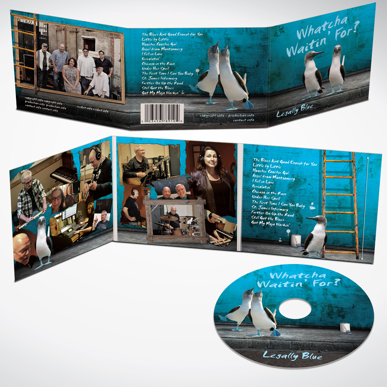 CD Cover Design by tuan1968 for this project | Design #11272580