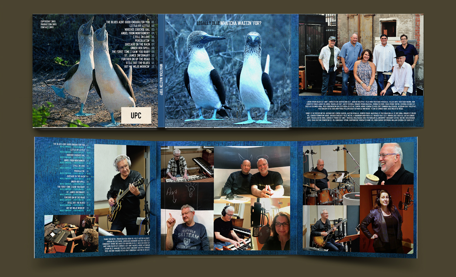 CD Cover Design by RedOne22 for this project | Design #11199882