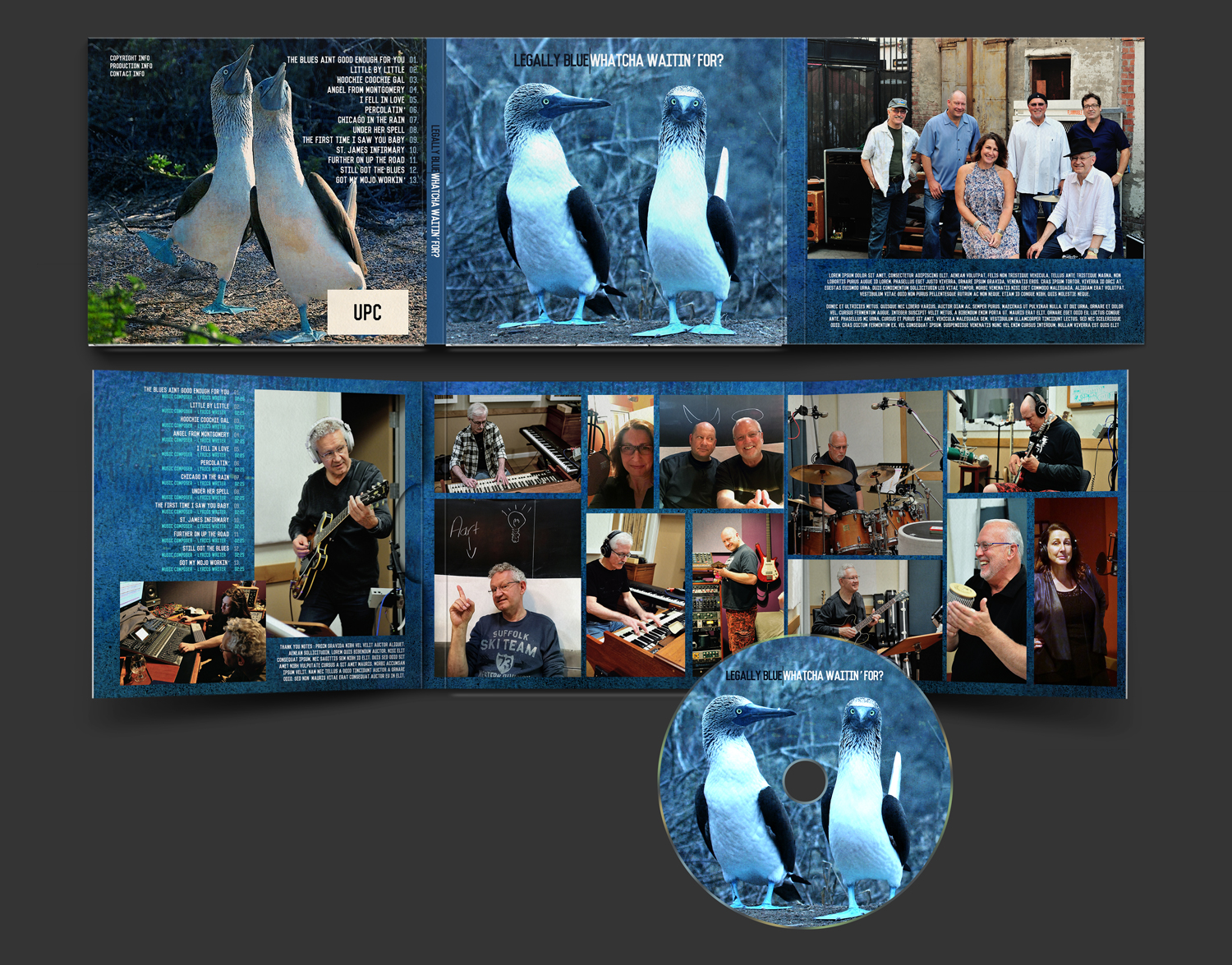 CD Cover Design by RedOne22 for this project | Design #11201015
