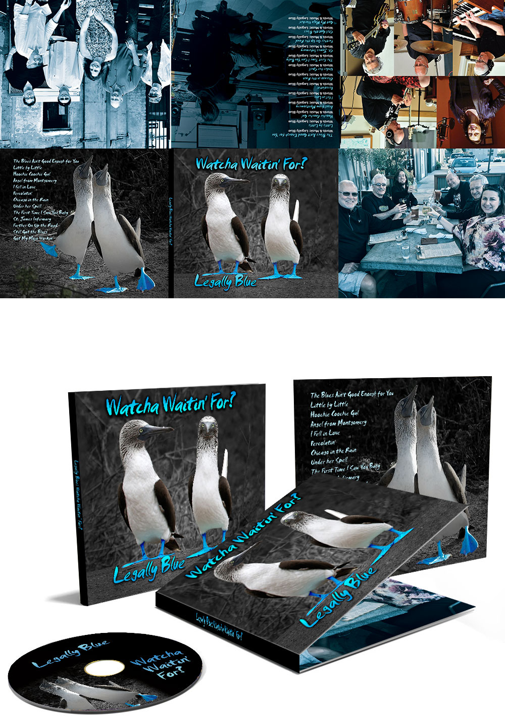 CD Cover Design by electvs for this project | Design #11199901
