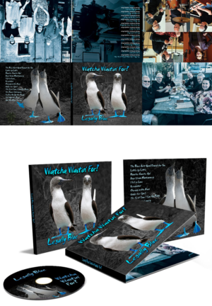CD-Cover-Design von electvs für dieses Projekt | Design #11199901