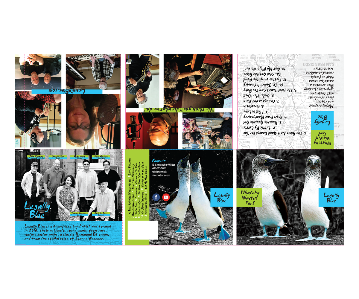 Design de Pochette de CD par joey light pour ce projet | Design #11289031