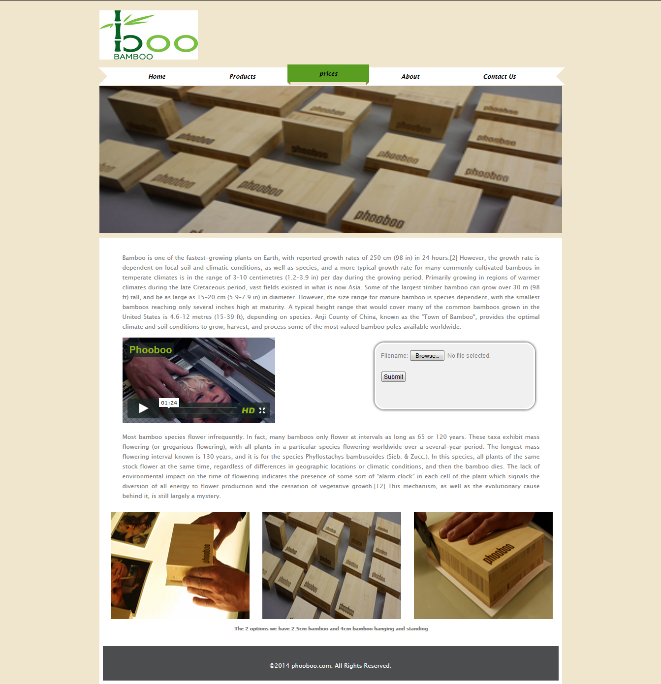 Web Design by Sravs for Perplex-Foto BV | Design #3544102