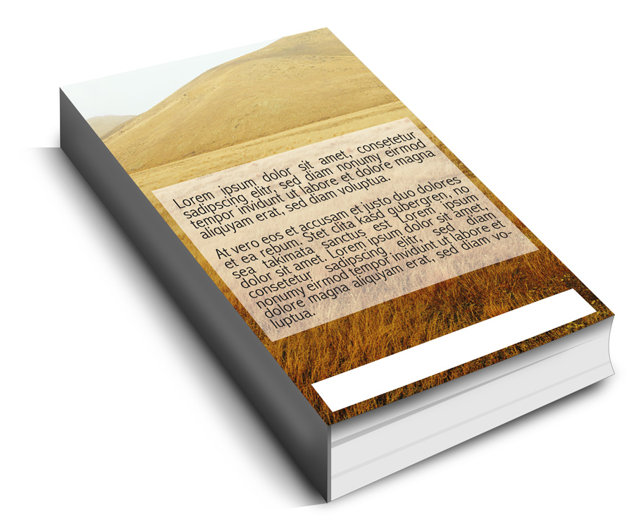 Book Cover Design by isabel paoli for this project | Design #3623246