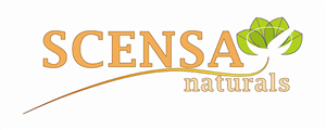 Logo Design by Ardanaart