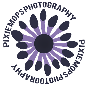 Diseño Gráfico por vebRasmussen para este proyecto | Diseño: #3522639