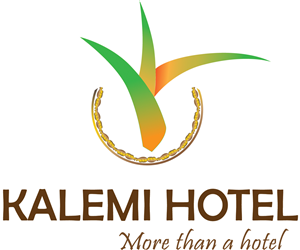 Logo Design by roymeade