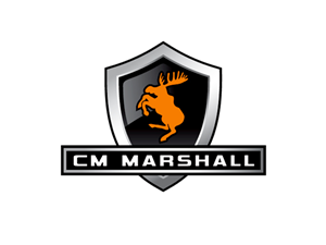 Diseño de Logo por Buck Tornado