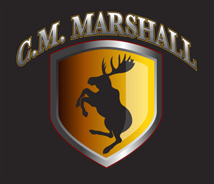 Logo Design by satz31 for this project | Design: #917049