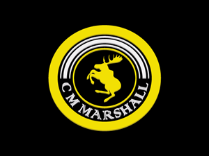 Logo Design by caadaar
