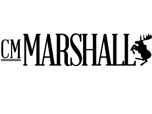 Logo-Design von SevenThree6 für dieses Projekt | Design #923944