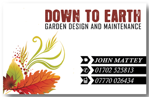 Diseño de Tarjeta de Presentación por mindscape para Down to earth | Diseño: #3585310
