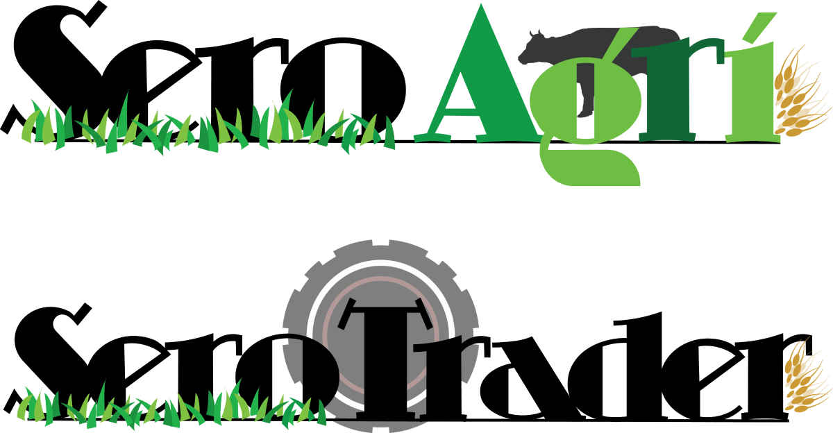 Logo-Design von bekkalek für dieses Projekt | Design #3548758