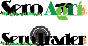 Logo Design by bekkalek