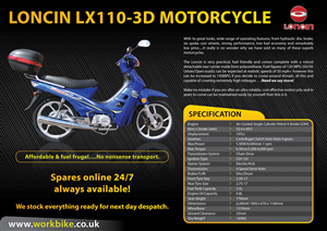 Brochure Design by Kr8ive Beat