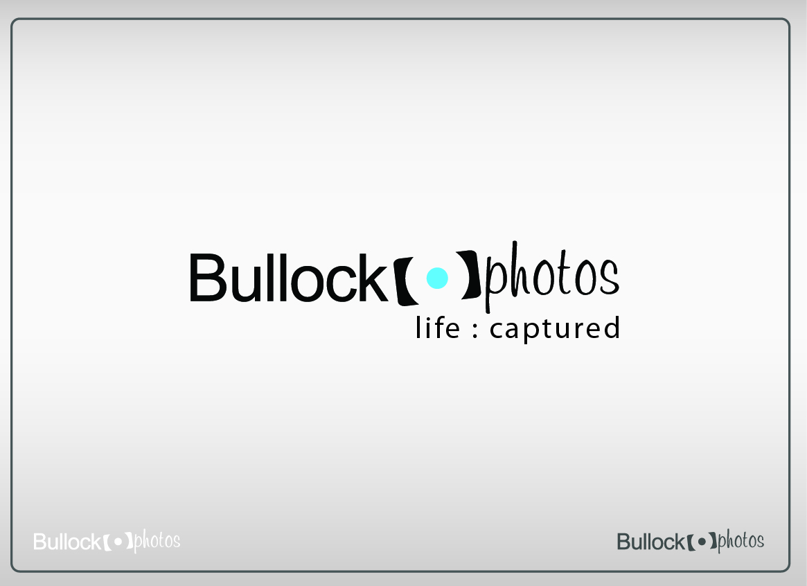 Logo Design by Ritesh Singh for Bullock Photos | Design #92917