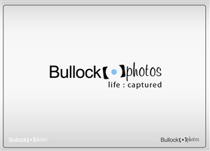 Diseño de Logo por Ritesh Singh para Bullock Photos | Diseño: #92917