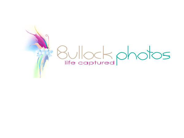 Logo-Design von Nesli Rawles für Bullock Photos | Design #92739