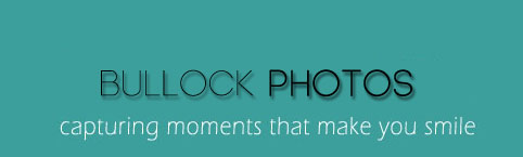 Logo Design by michelle for Bullock Photos | Design #91974