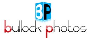 Logo Design by Asif Baig