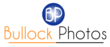 Logo Design by Asif Baig for Bullock Photos | Design #91936