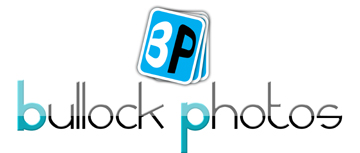 Logo Design by Asif Baig for Bullock Photos | Design #93045