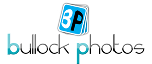 Logo Design by Asif Baig for Bullock Photos | Design: #93045