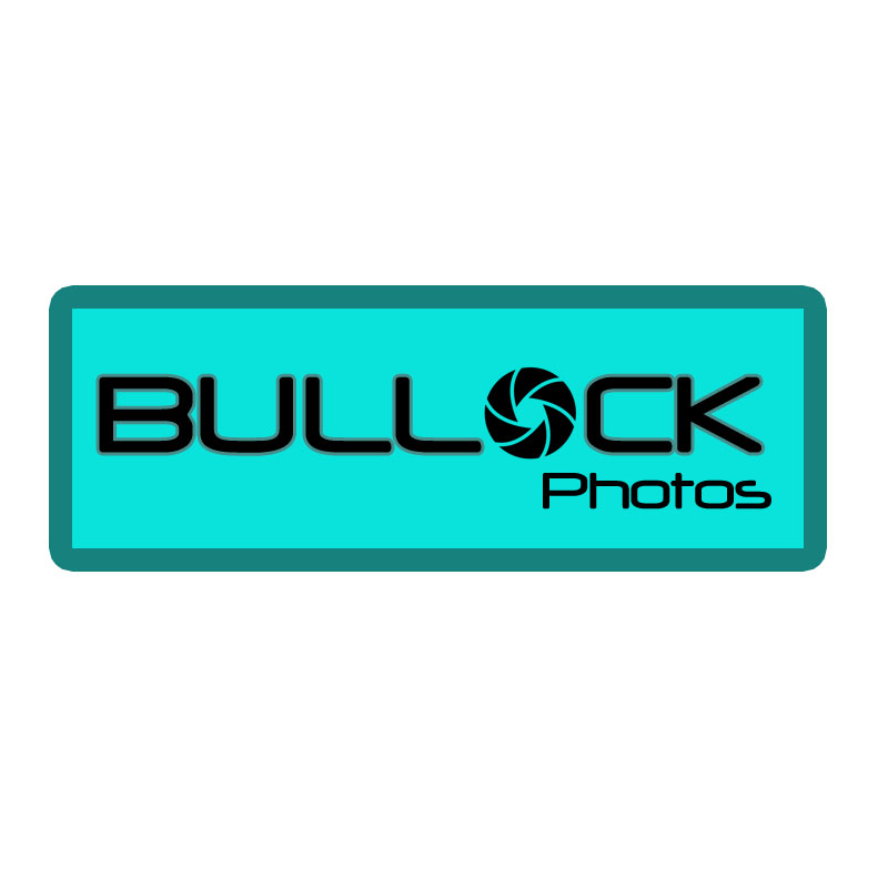 Logo Design by Technoway for Bullock Photos | Design #91690