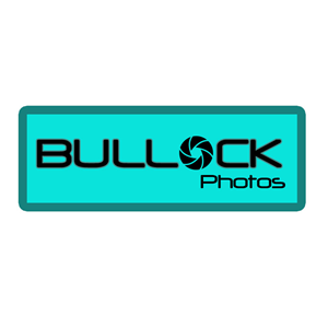 Logo Design by Technoway for Bullock Photos | Design: #91690