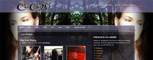 Web Design by websumster