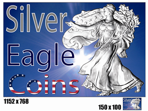 Logo Design by Christine Truter for Silver Eagle Coin Company | Design #96248