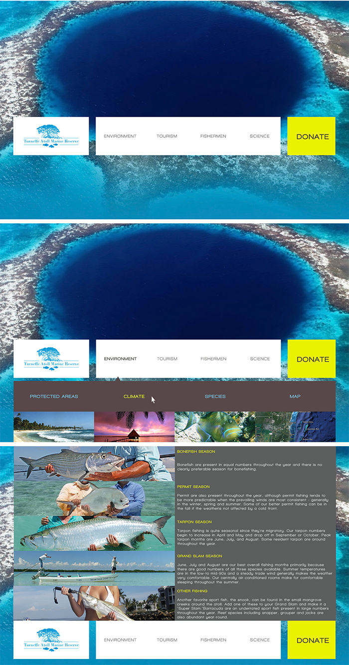 Web Design by  SerbanC for PageTree | Design #3539691