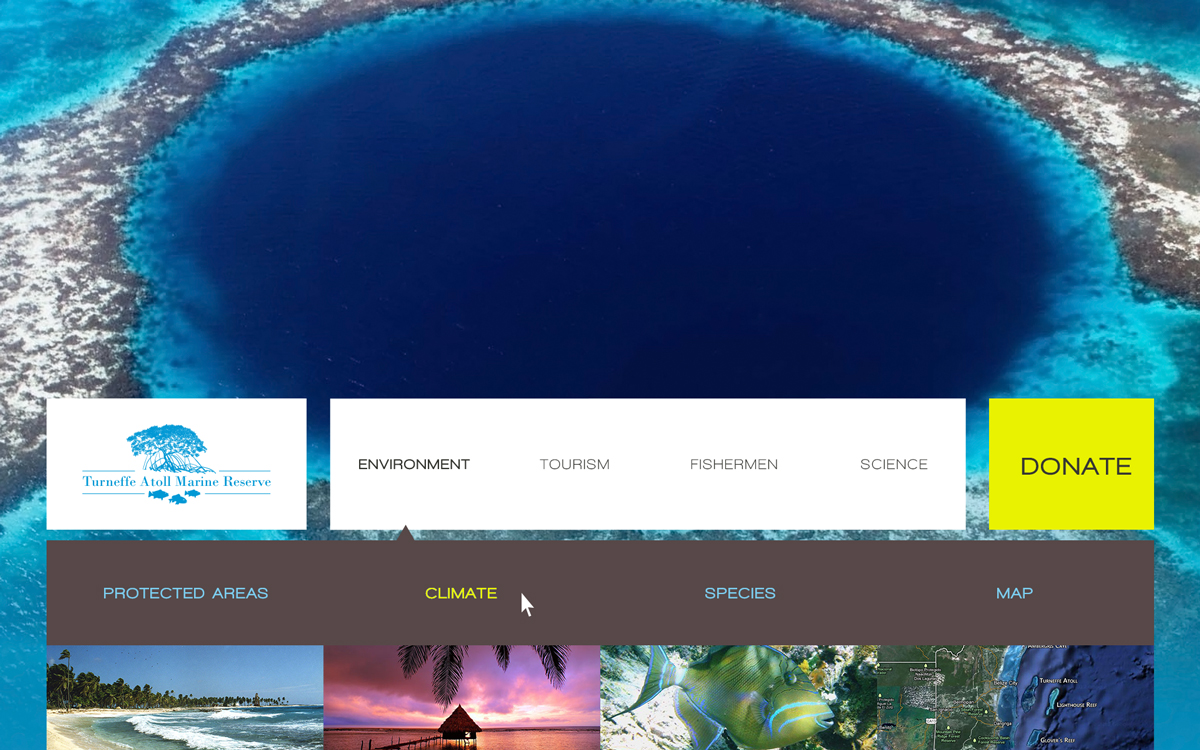 Web Design by  SerbanC for PageTree | Design #3539696