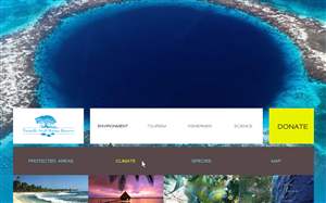Web Design par  SerbanC pour PageTree | Design : #3539696