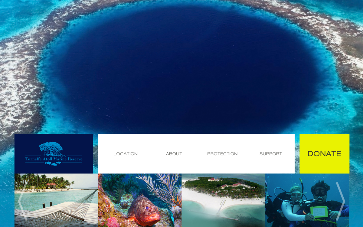 Web-Design von  SerbanC für PageTree | Design #3560098