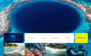 Web Design by  SerbanC for PageTree | Design #3560098